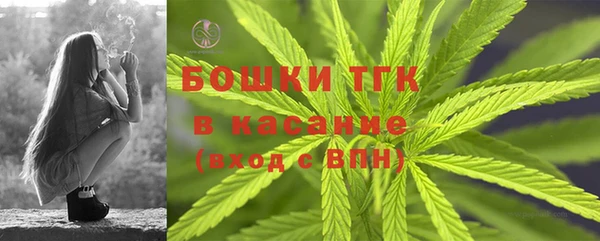 метамфетамин Ельня