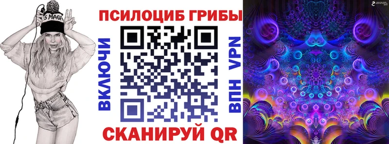 Купить где  Сурск  Псилоцибиновые грибы Cubensis 